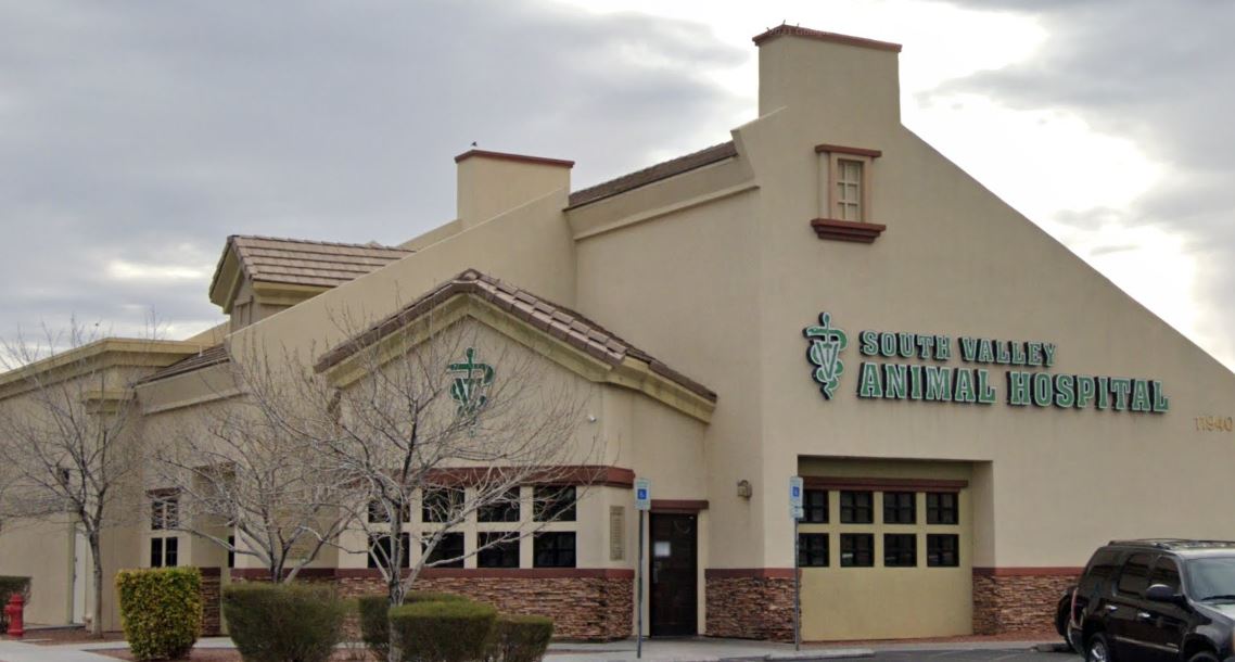 Las Vegas Animal Blood Bank  Veterinary Emergency & Critical Care