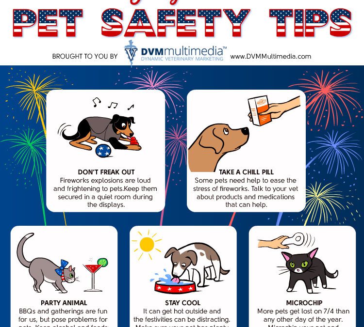pet safey chart infographic