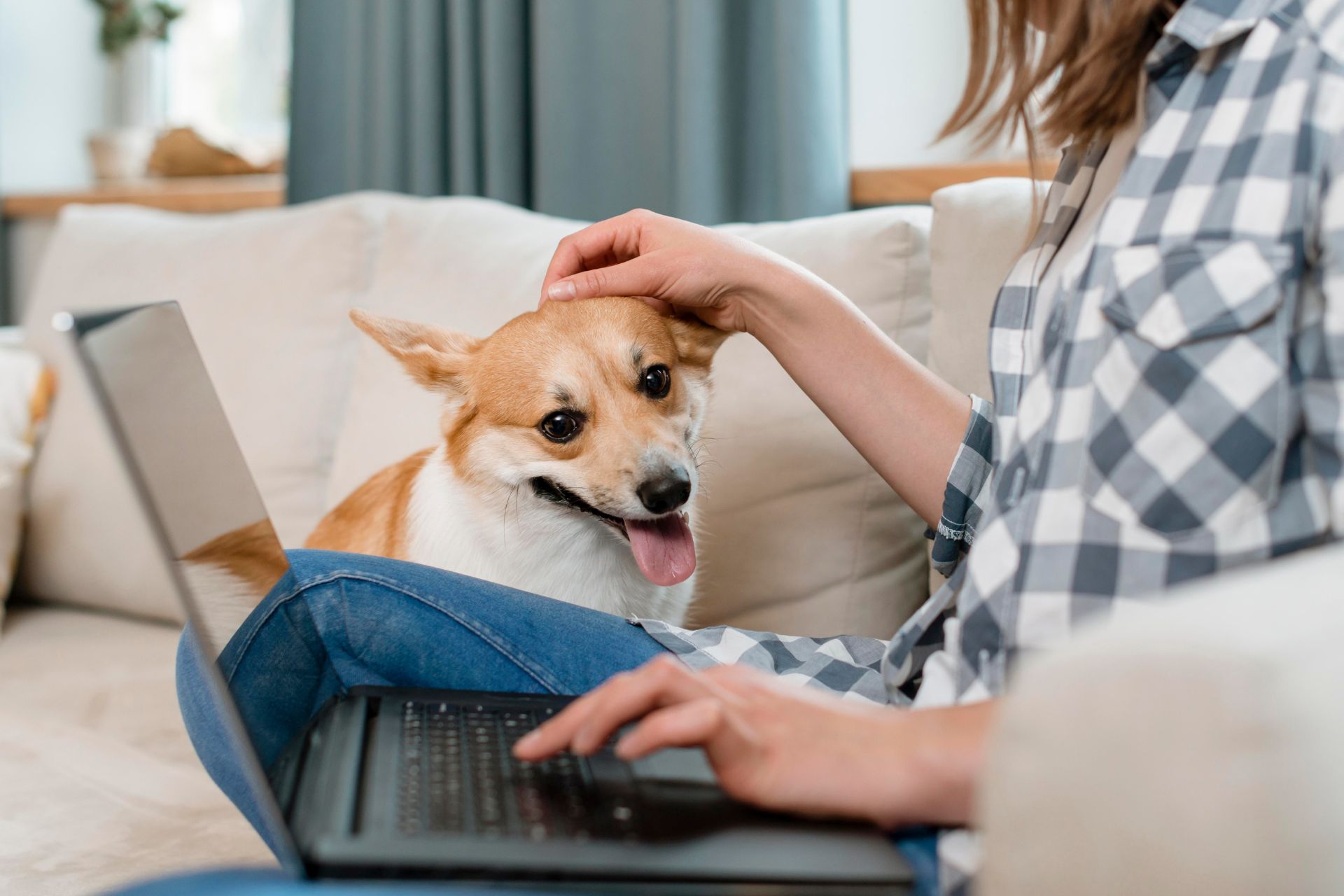 woman with dog on couch working on laptop